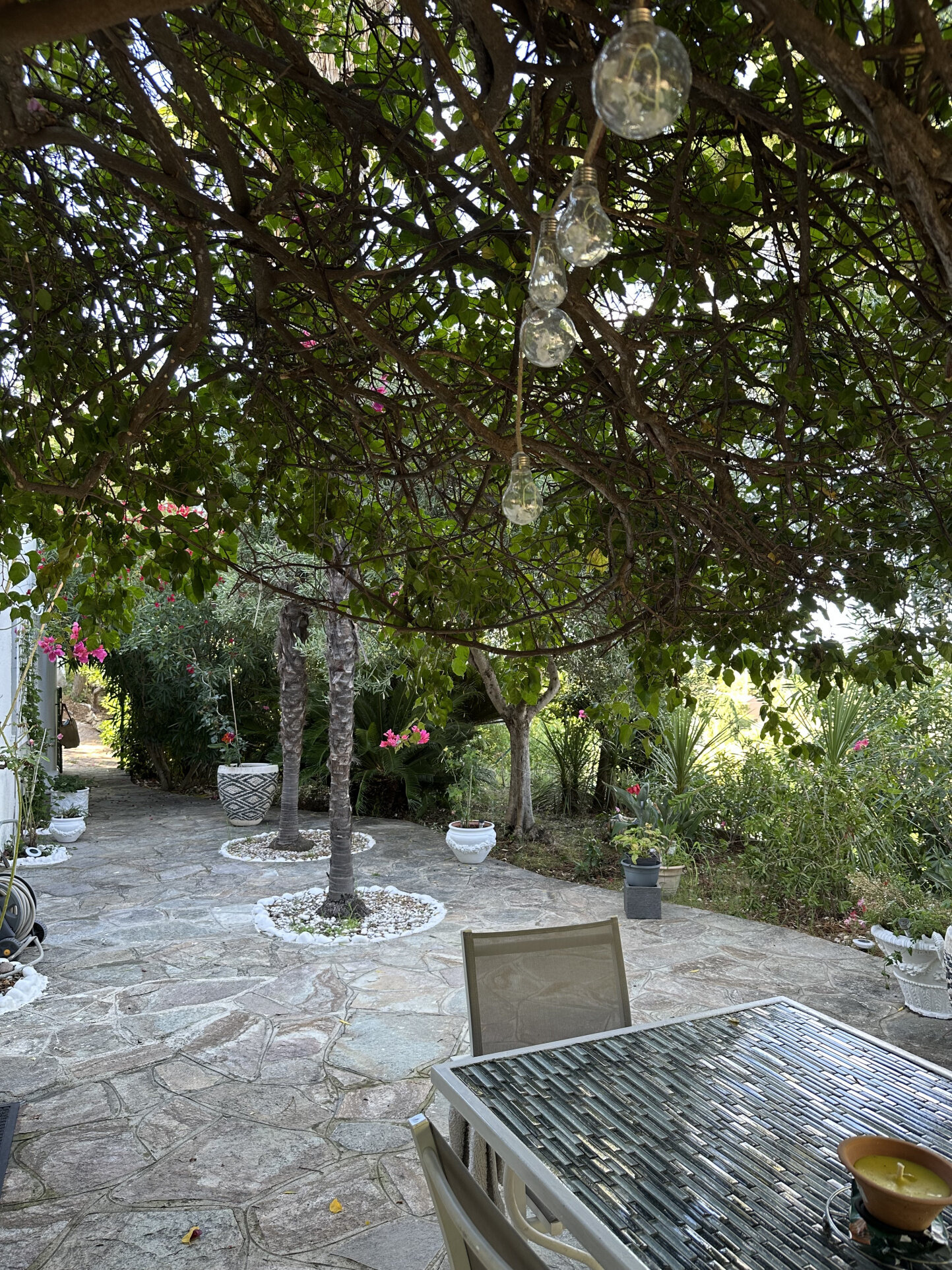 Agence immobilière de Cosy Home l'agence immobilière